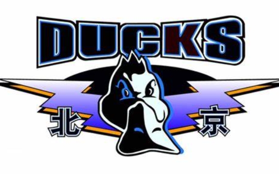 언론인: 베이징 남자 농구팀의 새 시즌 홈 경기장은 서우강 아이스 아레나와 오커송 체육관으로 결정되었습니다.