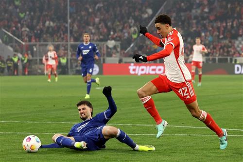 바이에른 뮌헨 vs TSG 호펜하임